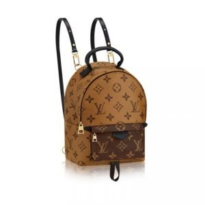 Louis Vuitton Palm Springs Backpack Mini M42411
