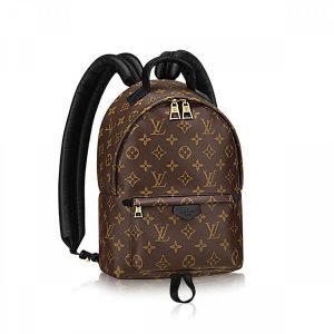 Louis Vuitton Palm Springs PM M41560