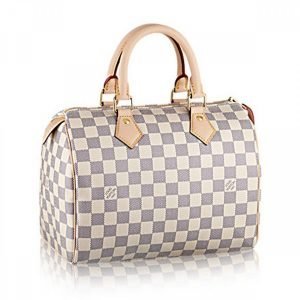 Louis Vuitton Speedy N41371