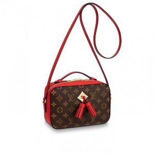Louis Vuitton Saintonge M43556